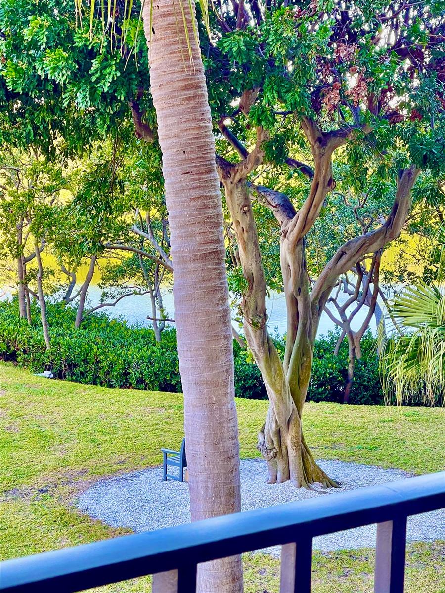 7050 SUNSET DR S #203, SOUTH PASADENA, FL, 33707