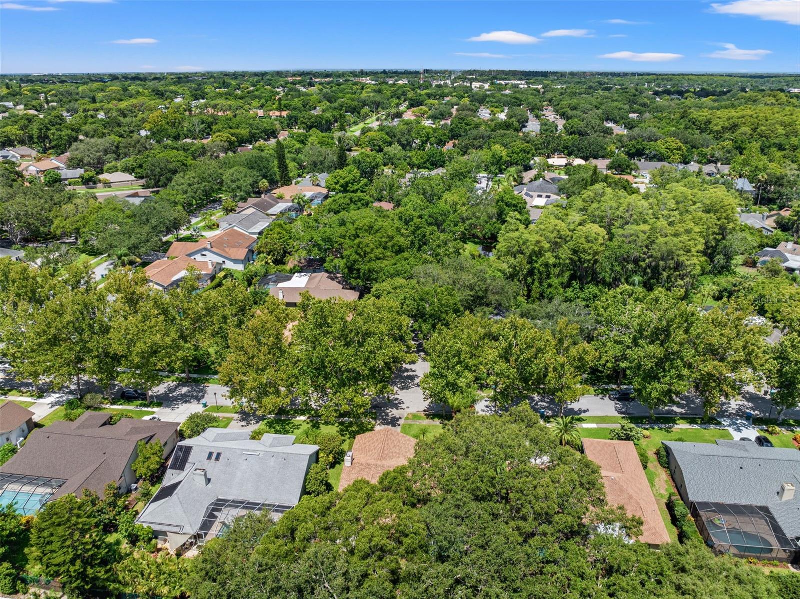 2867 LANDING WAY, PALM HARBOR, FL, 34684