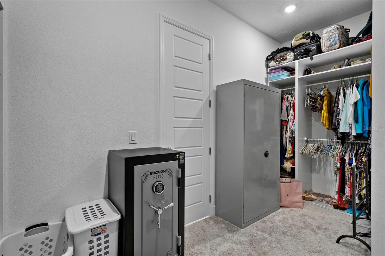 10139 AUSTRINA OAK LOOP, WINTER GARDEN, FL, 34787