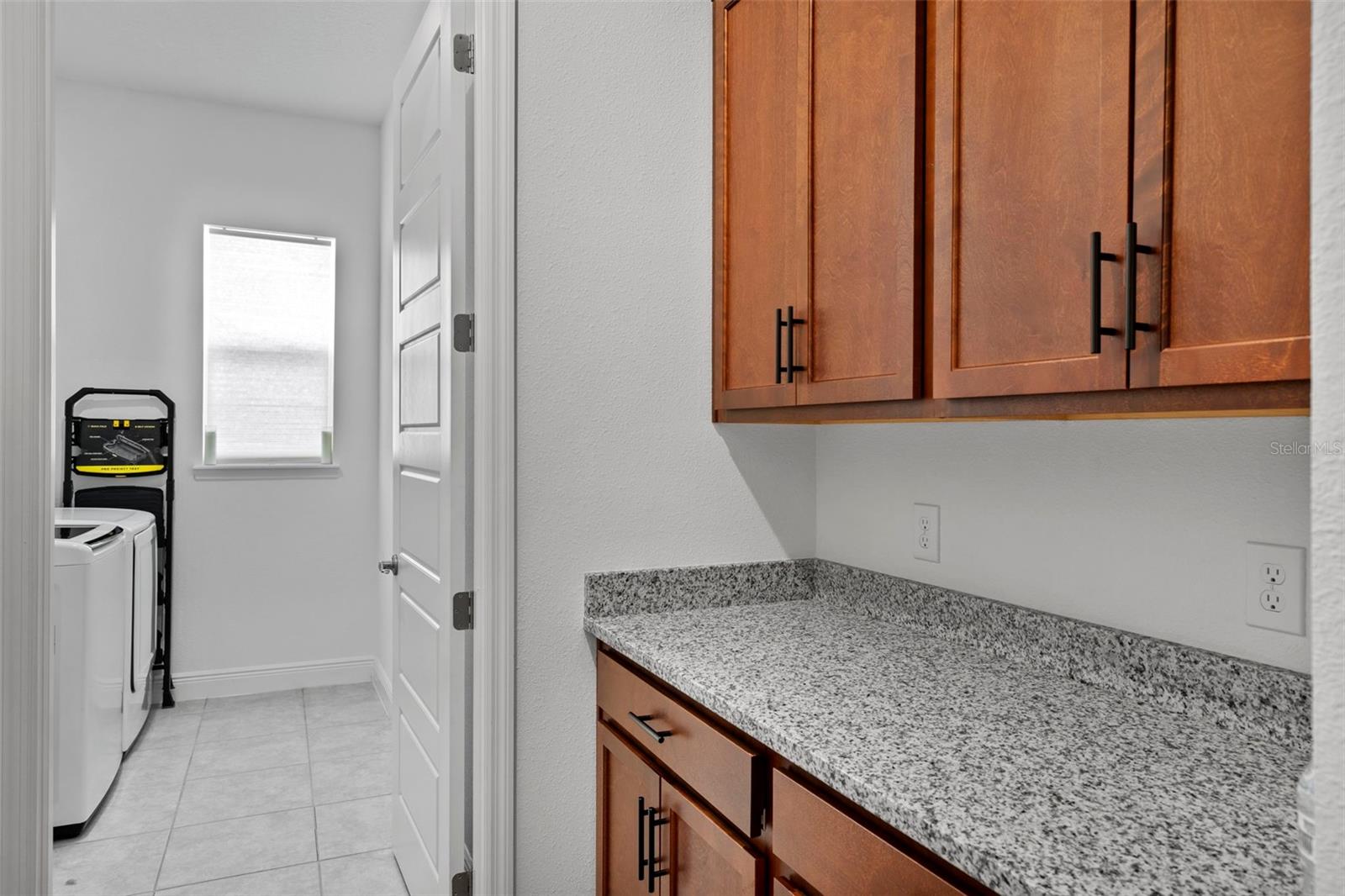 10139 AUSTRINA OAK LOOP, WINTER GARDEN, FL, 34787