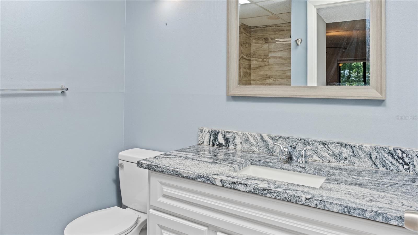 11702 RAINTREE VILLAGE BLVD #A, TEMPLE TERRACE, FL, 33617