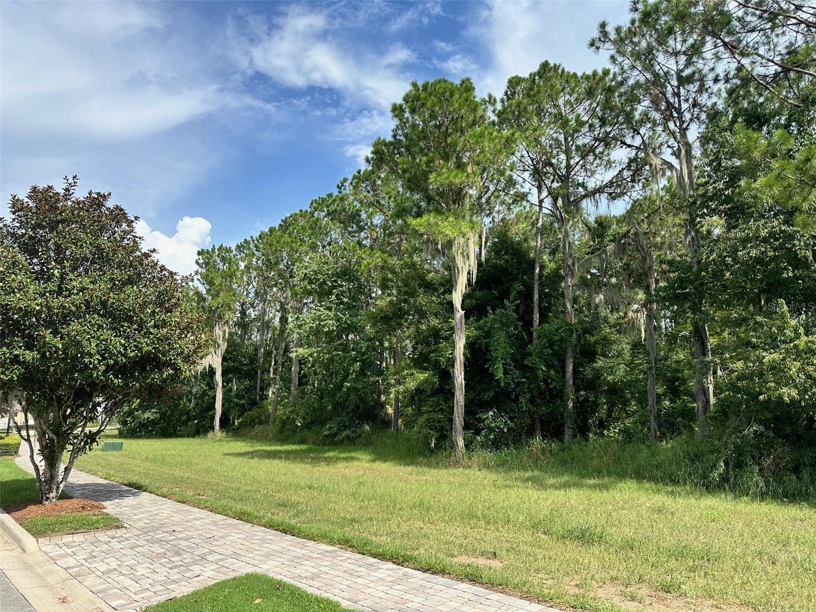 15516 PENDIO DR, BELLA COLLINA, FL, 34756
