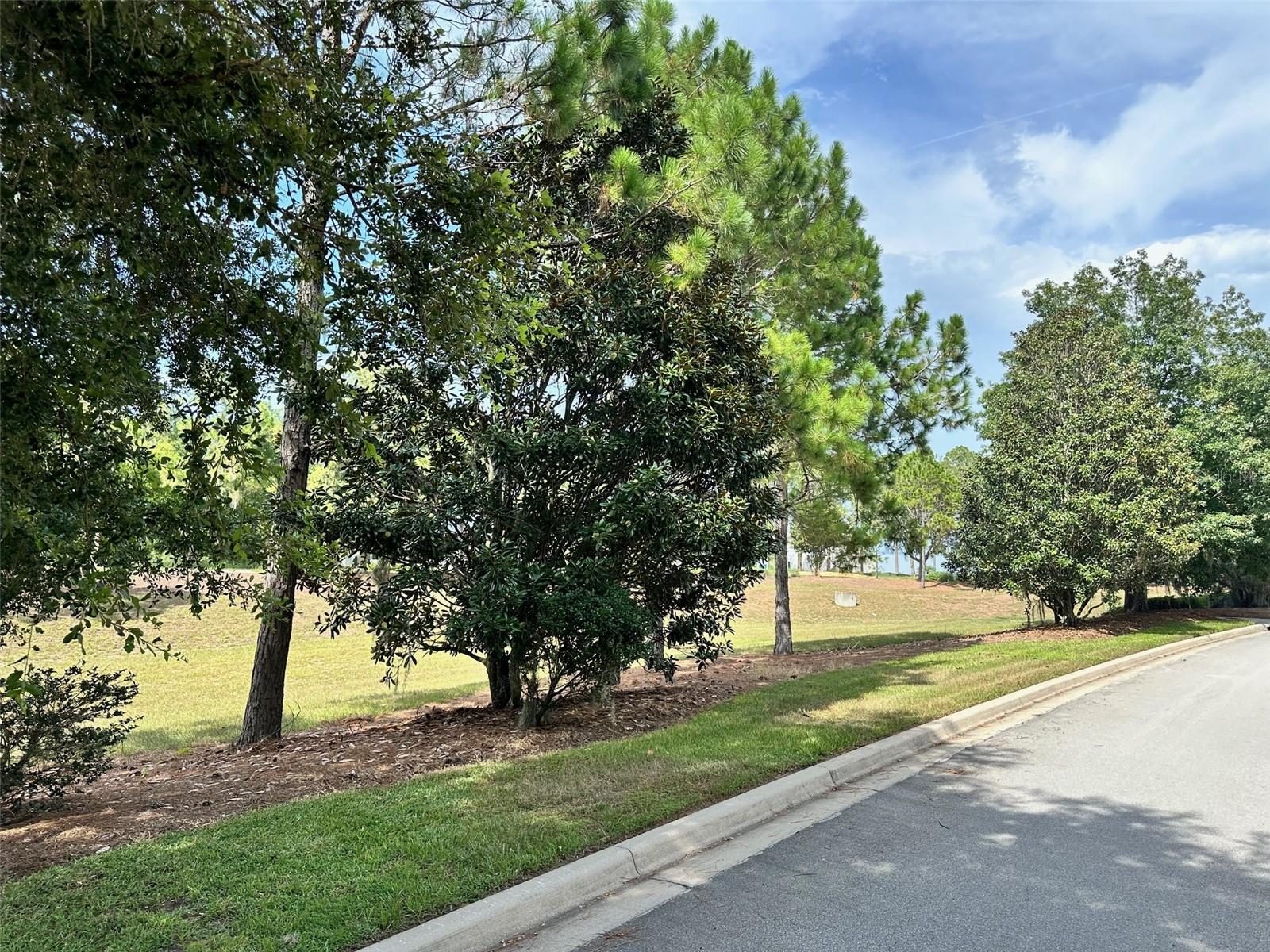15516 PENDIO DR, BELLA COLLINA, FL, 34756