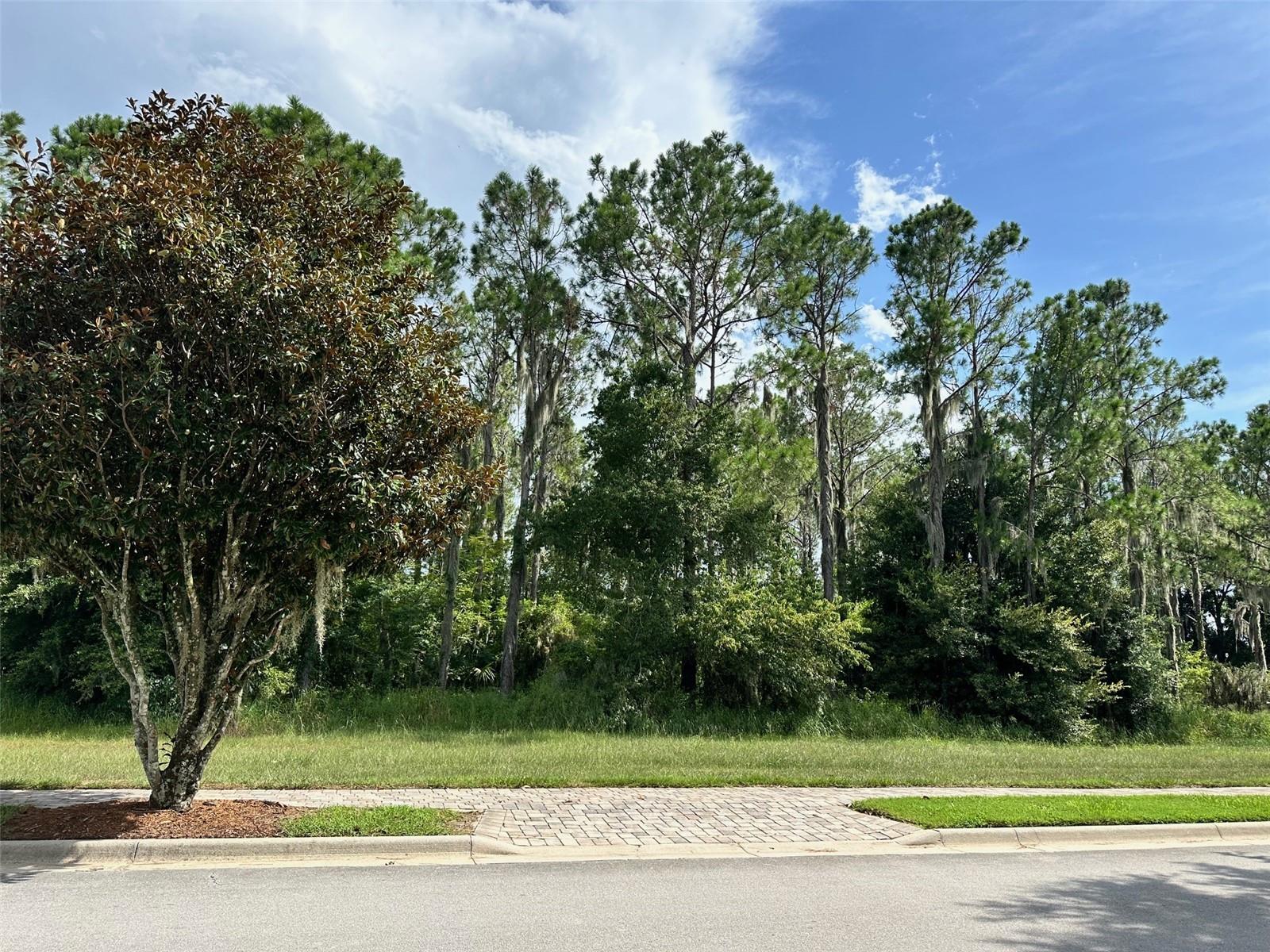 15516 PENDIO DR, BELLA COLLINA, FL, 34756