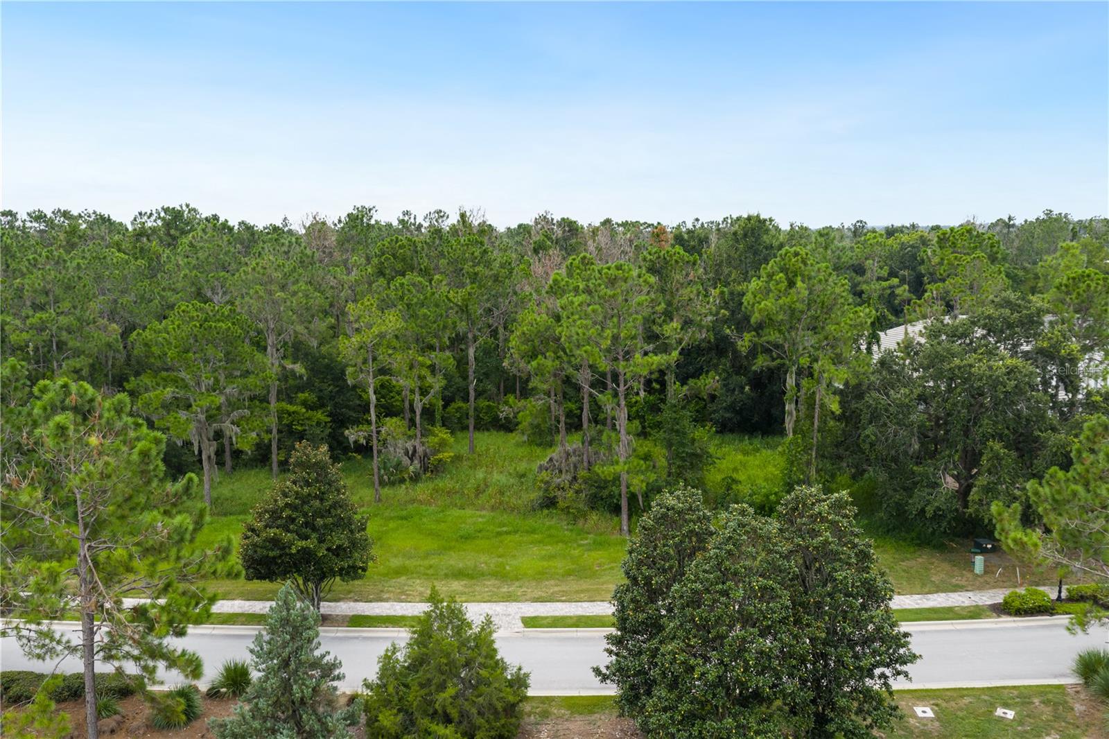 15516 PENDIO DR, BELLA COLLINA, FL, 34756