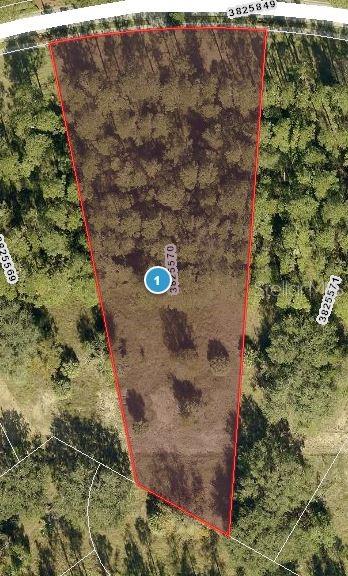 15516 PENDIO DR, BELLA COLLINA, FL, 34756