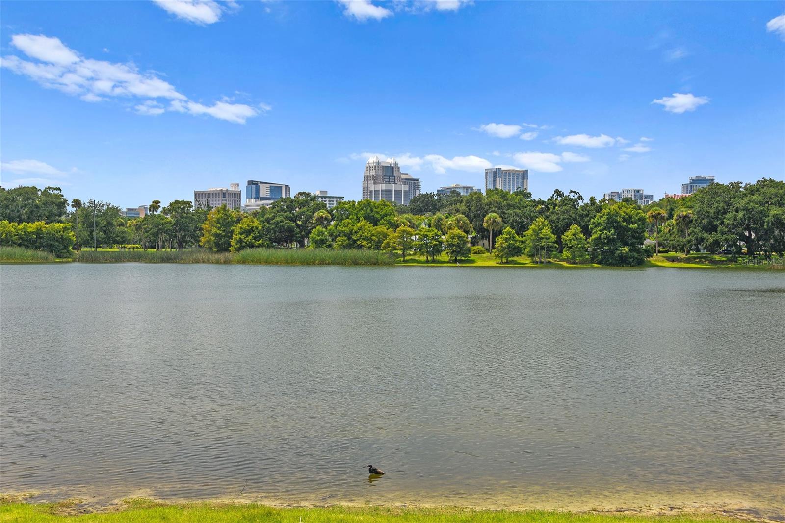 1110 LAKE DAVIS DR, ORLANDO, FL, 32806