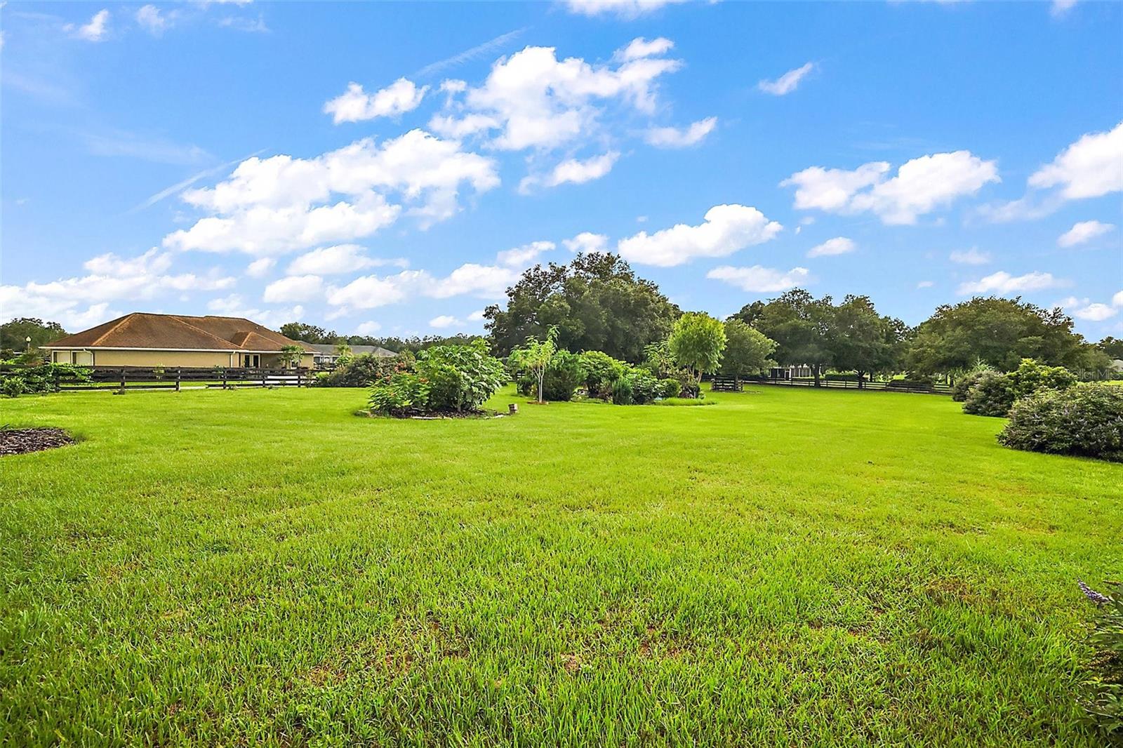 10710 NE 27TH ST, OXFORD, FL, 34484