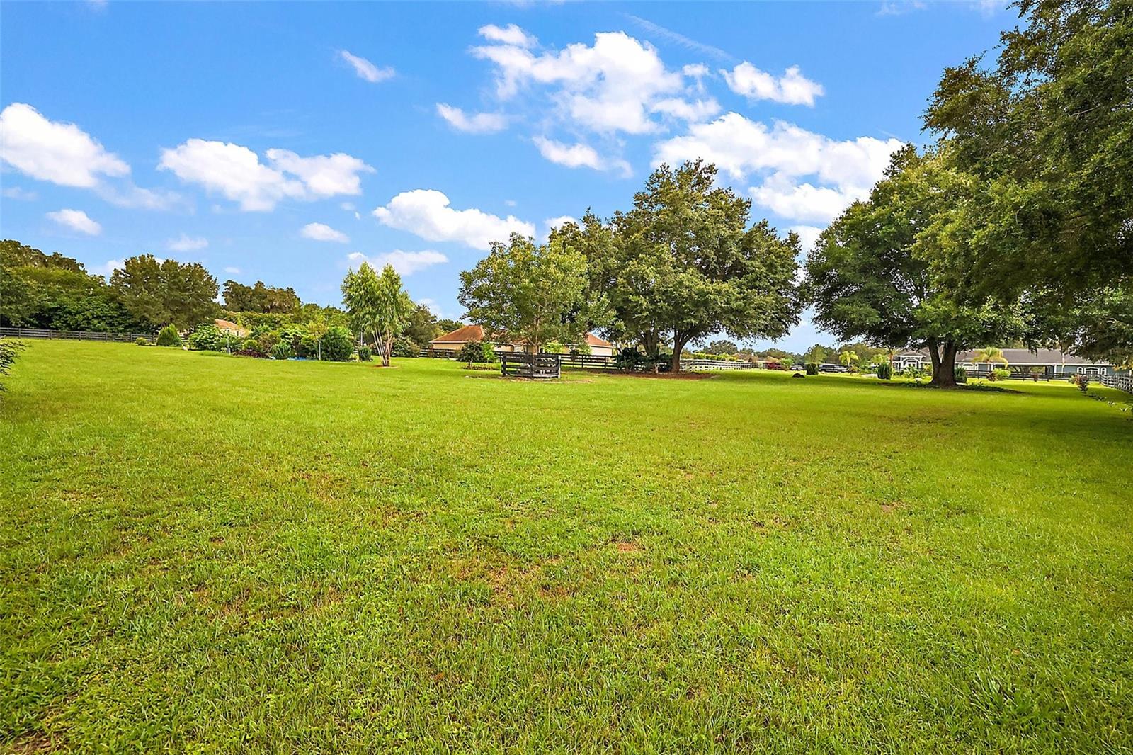 10710 NE 27TH ST, OXFORD, FL, 34484