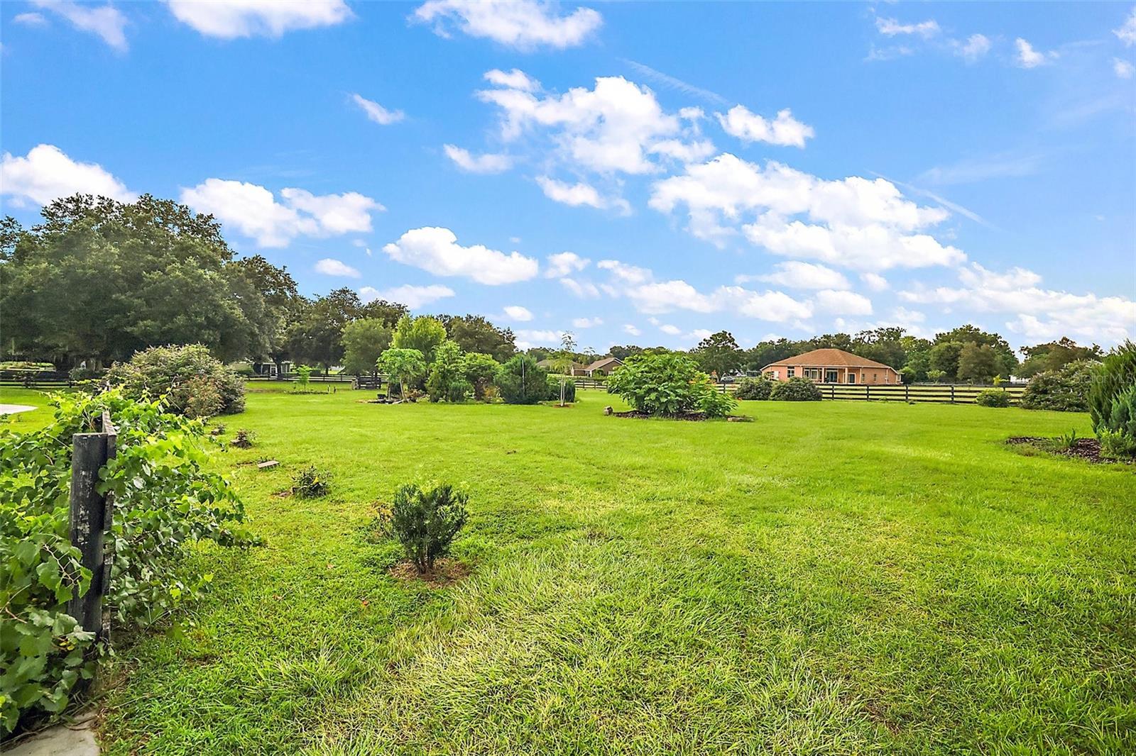 10710 NE 27TH ST, OXFORD, FL, 34484