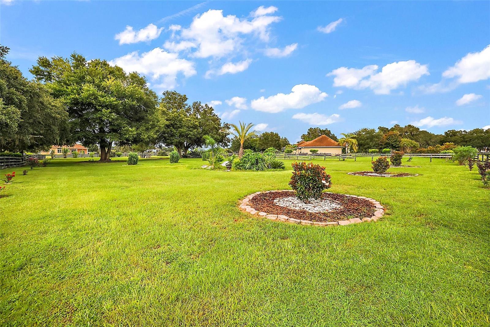 10710 NE 27TH ST, OXFORD, FL, 34484