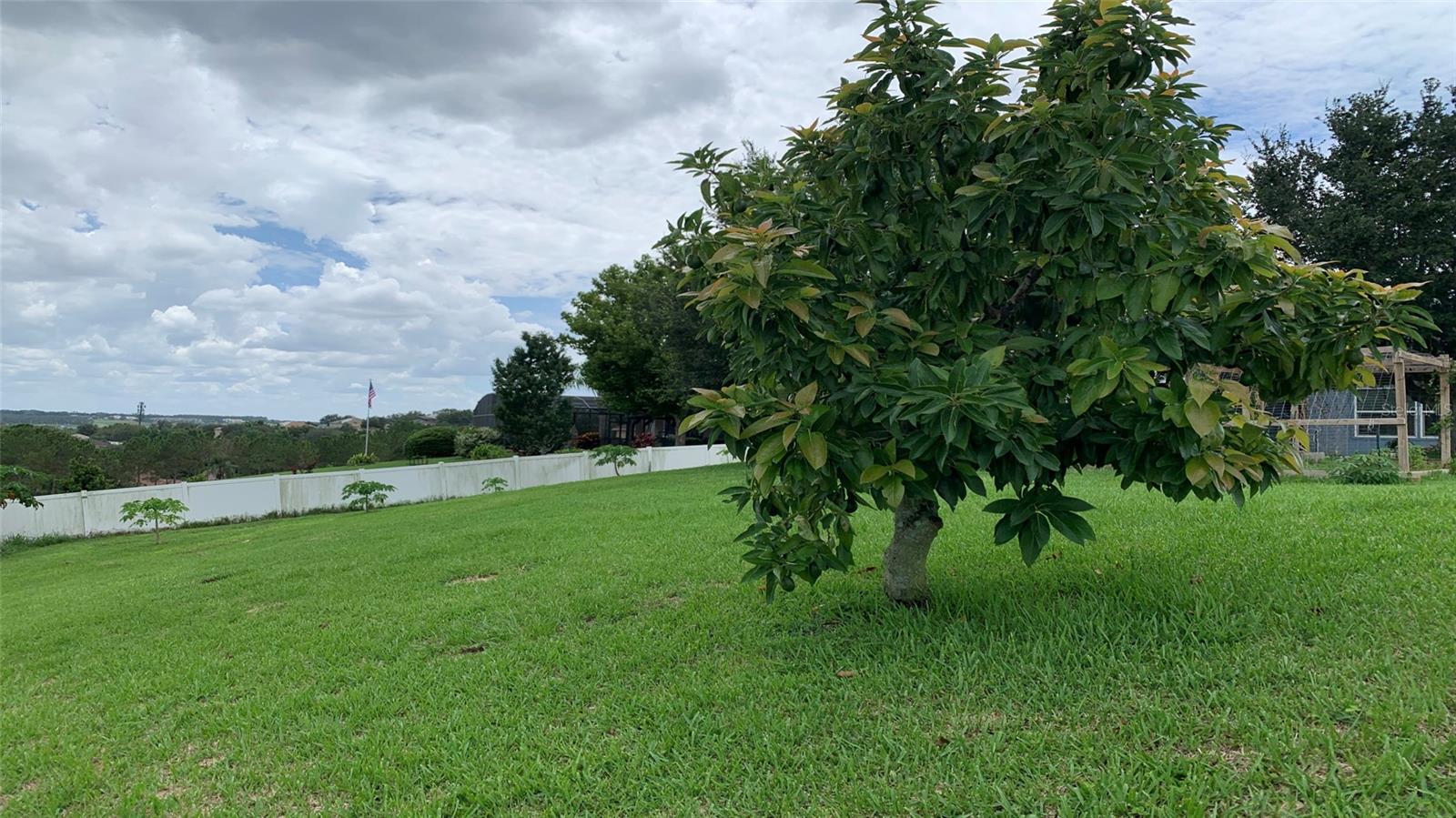 2301 GOLDEN ASTER ST, CLERMONT, FL, 34711