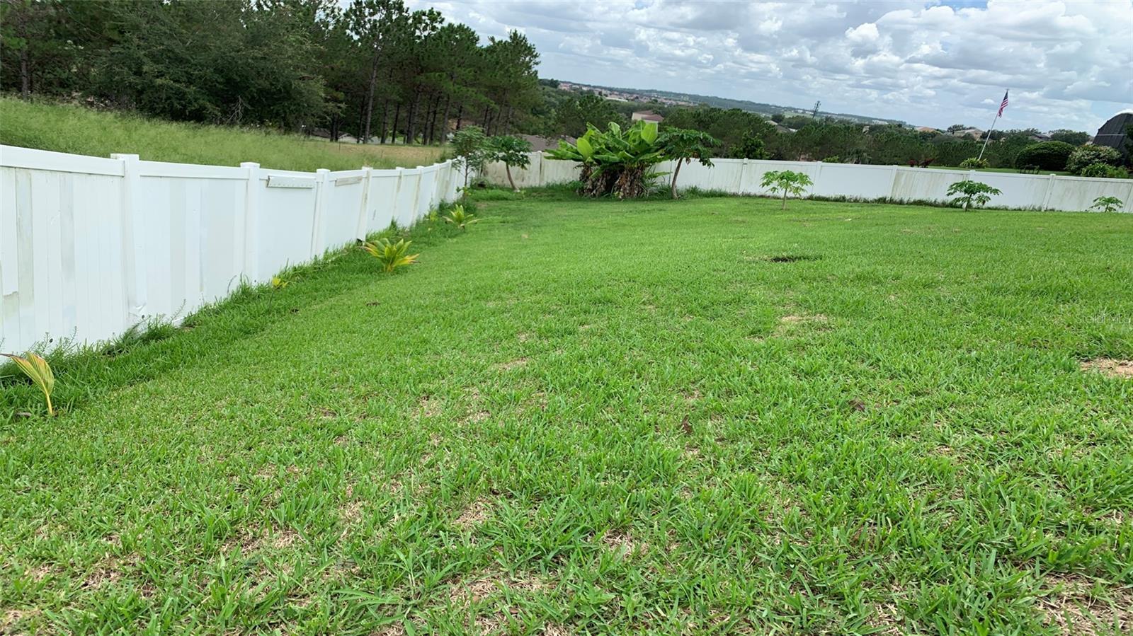 2301 GOLDEN ASTER ST, CLERMONT, FL, 34711