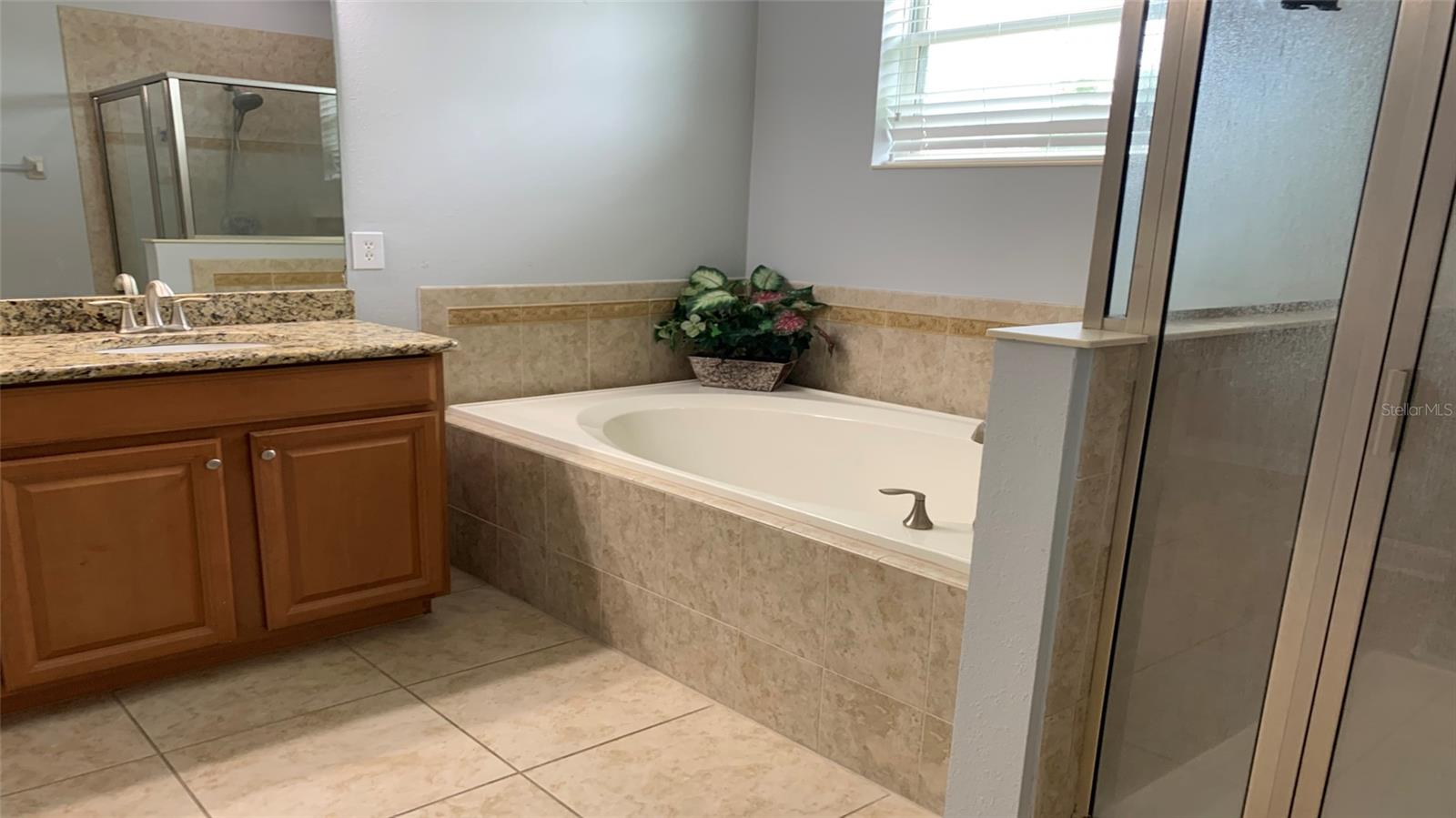 2301 GOLDEN ASTER ST, CLERMONT, FL, 34711