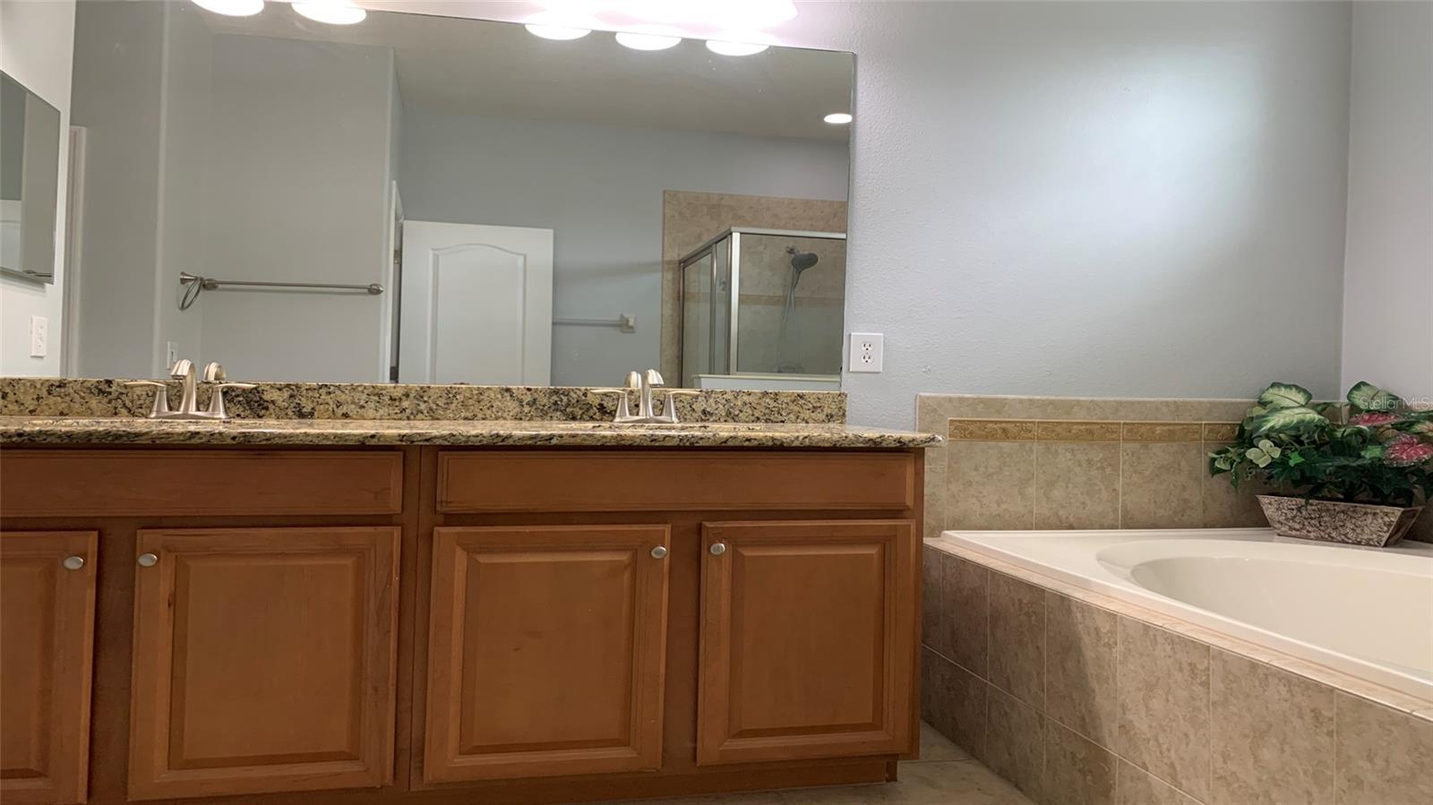 2301 GOLDEN ASTER ST, CLERMONT, FL, 34711