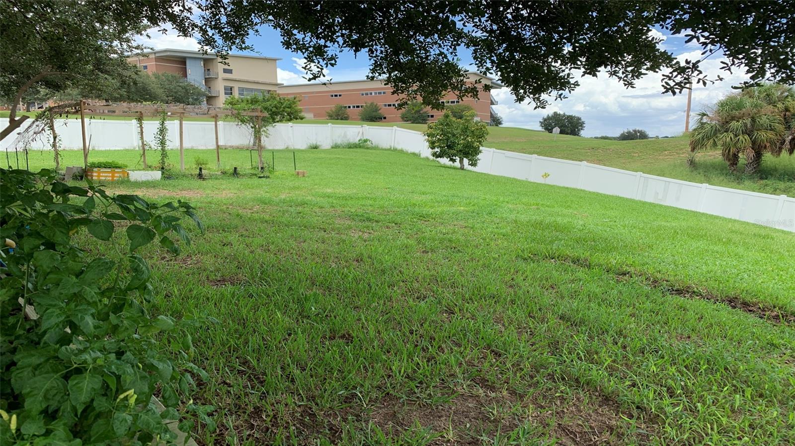 2301 GOLDEN ASTER ST, CLERMONT, FL, 34711