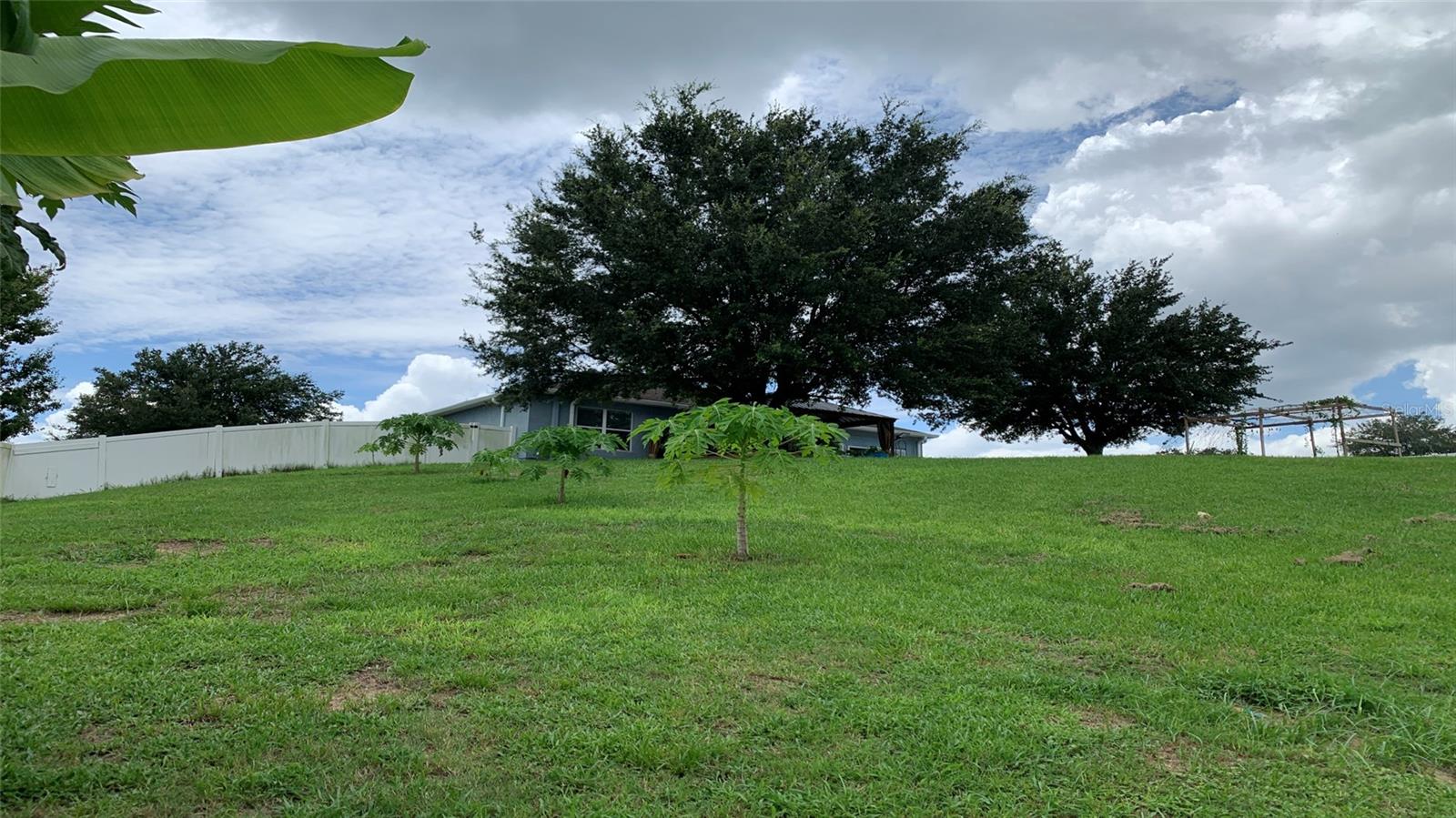 2301 GOLDEN ASTER ST, CLERMONT, FL, 34711