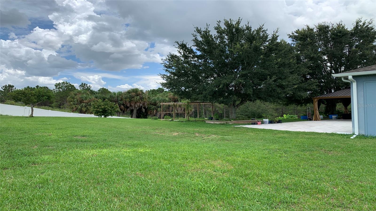 2301 GOLDEN ASTER ST, CLERMONT, FL, 34711