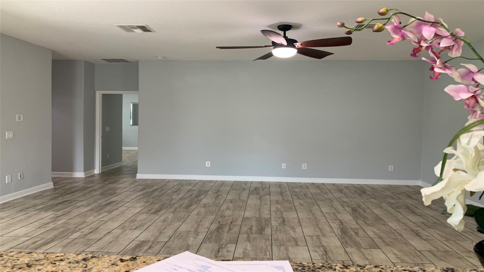 2301 GOLDEN ASTER ST, CLERMONT, FL, 34711