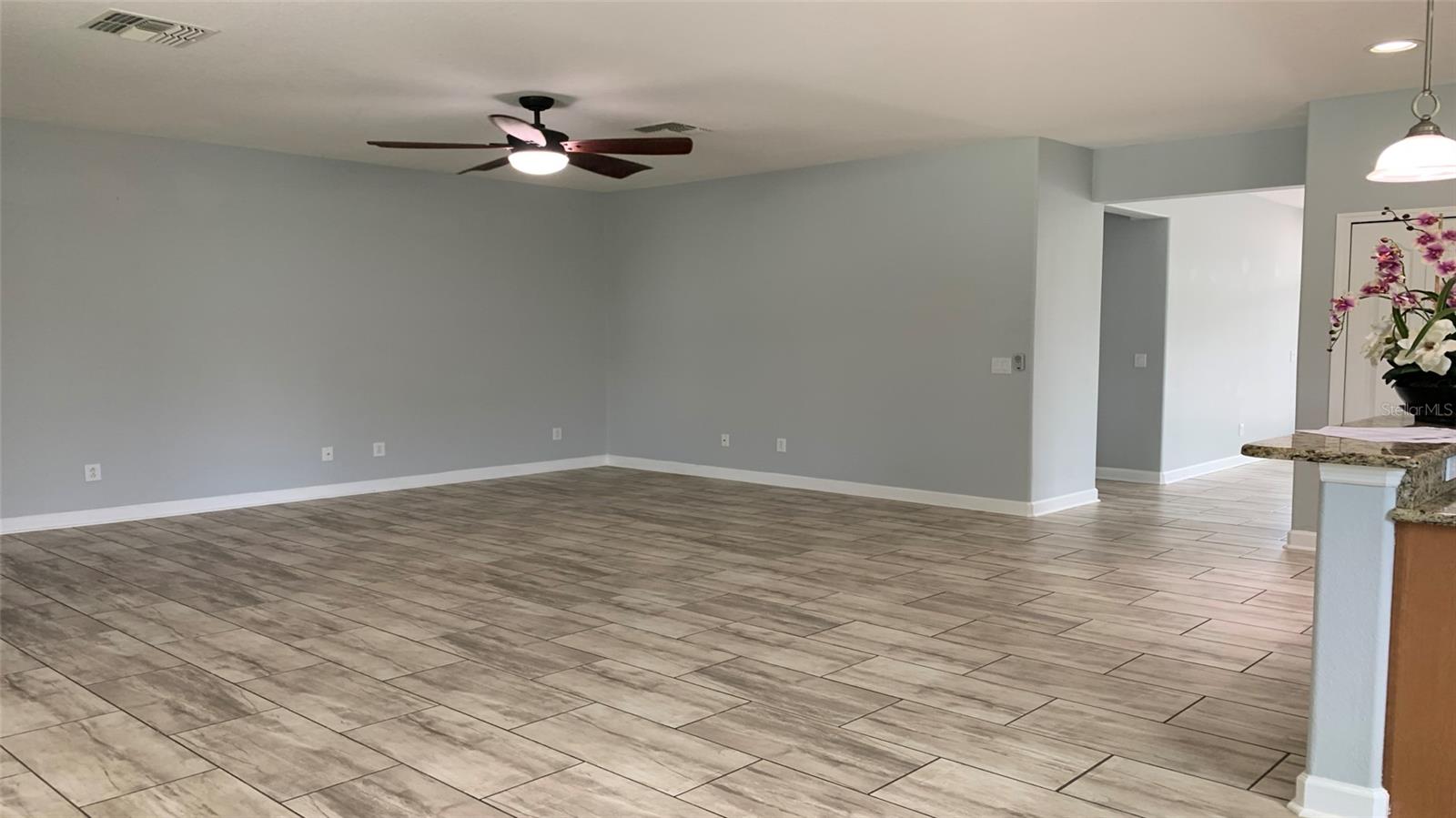 2301 GOLDEN ASTER ST, CLERMONT, FL, 34711