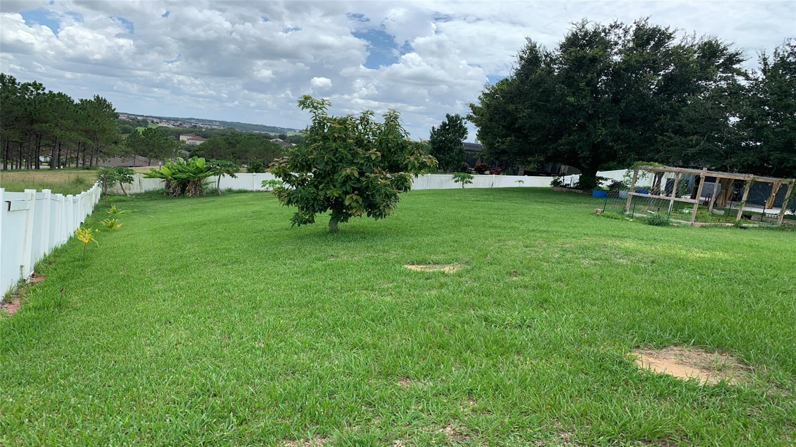 2301 GOLDEN ASTER ST, CLERMONT, FL, 34711