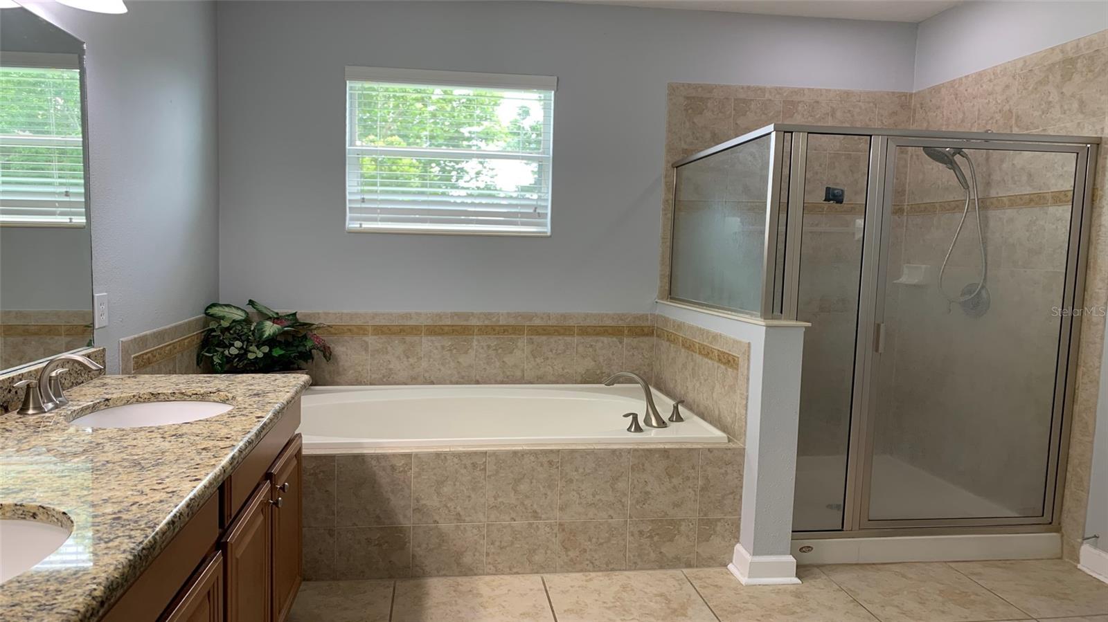 2301 GOLDEN ASTER ST, CLERMONT, FL, 34711
