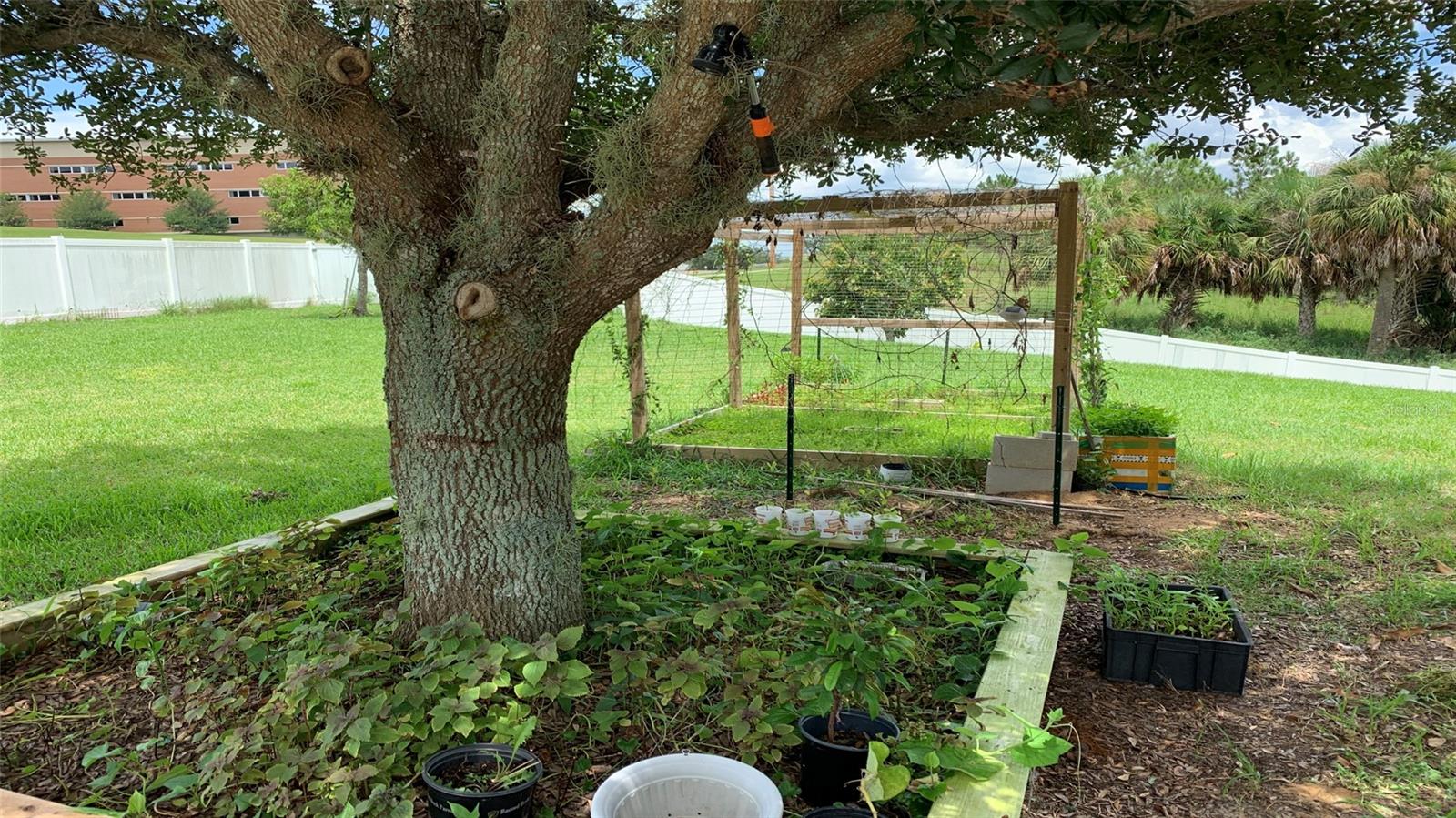 2301 GOLDEN ASTER ST, CLERMONT, FL, 34711