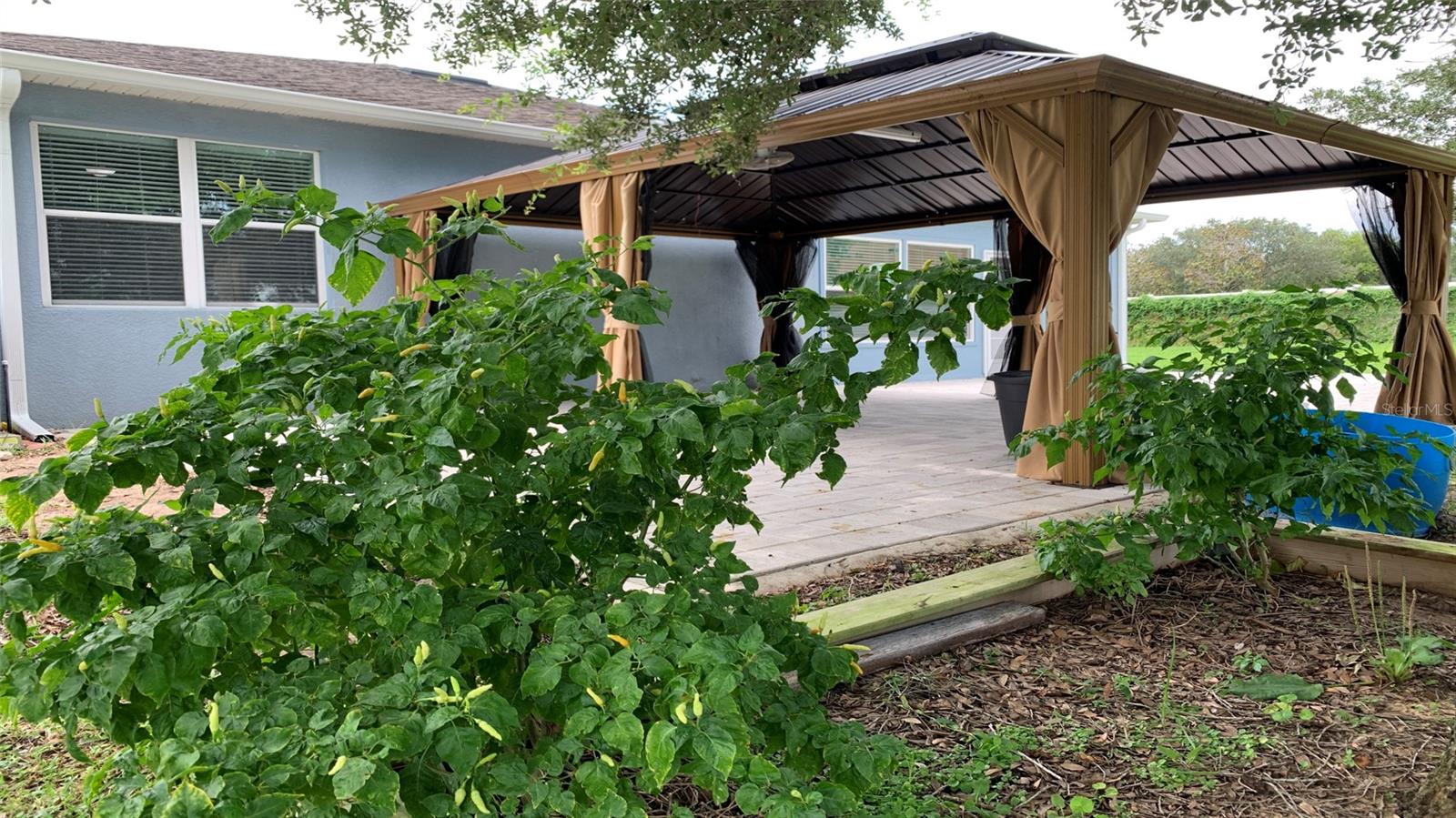 2301 GOLDEN ASTER ST, CLERMONT, FL, 34711