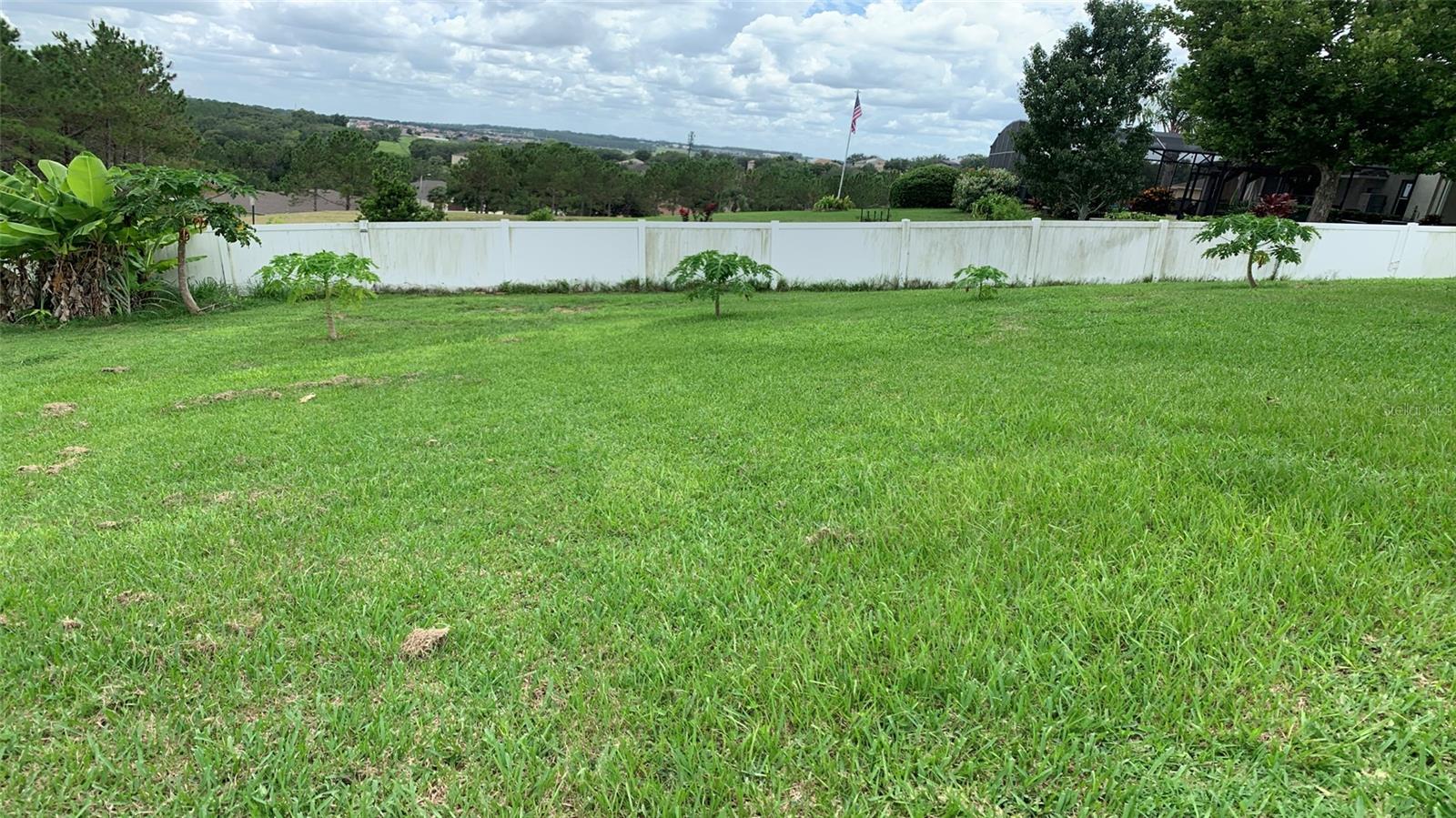 2301 GOLDEN ASTER ST, CLERMONT, FL, 34711