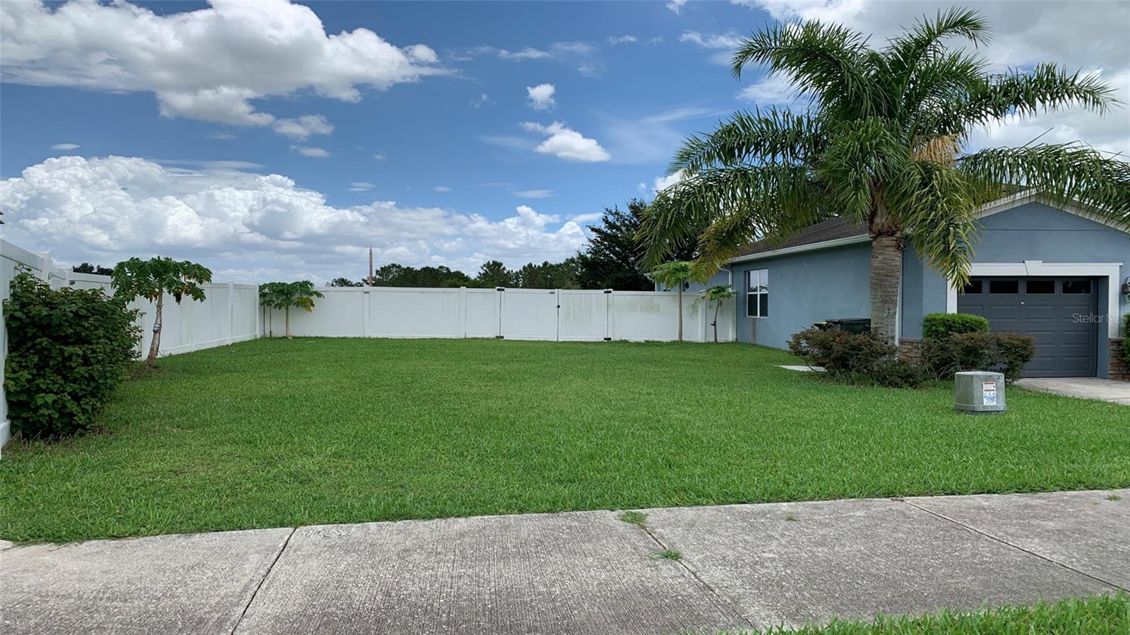 2301 GOLDEN ASTER ST, CLERMONT, FL, 34711