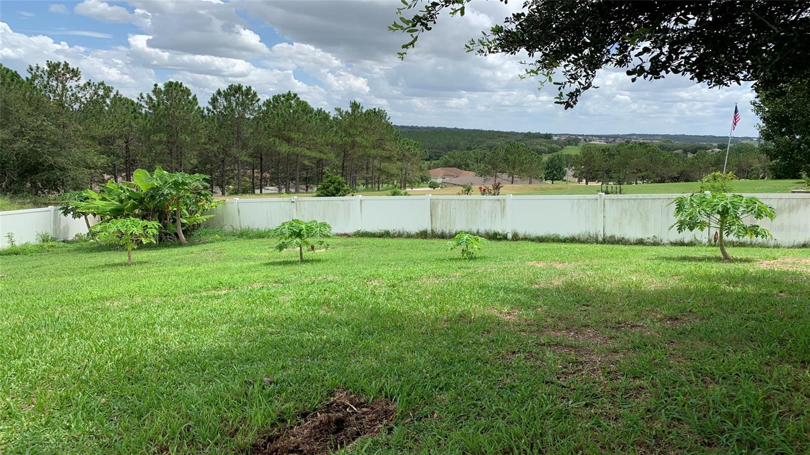 2301 GOLDEN ASTER ST, CLERMONT, FL, 34711