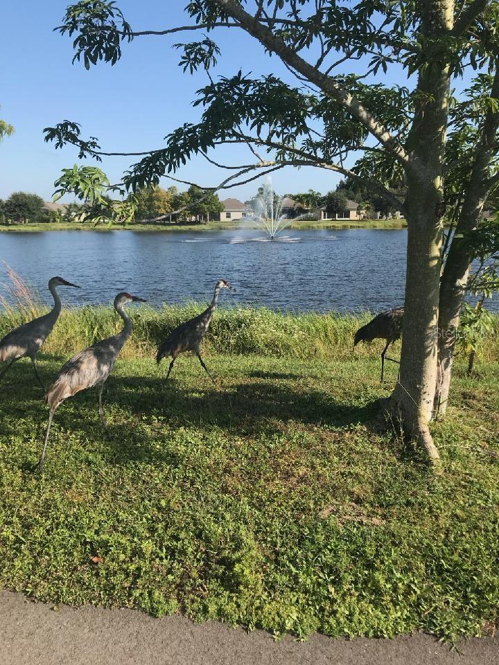 28131 ARROWHEAD CIR, PUNTA GORDA, FL, 33982