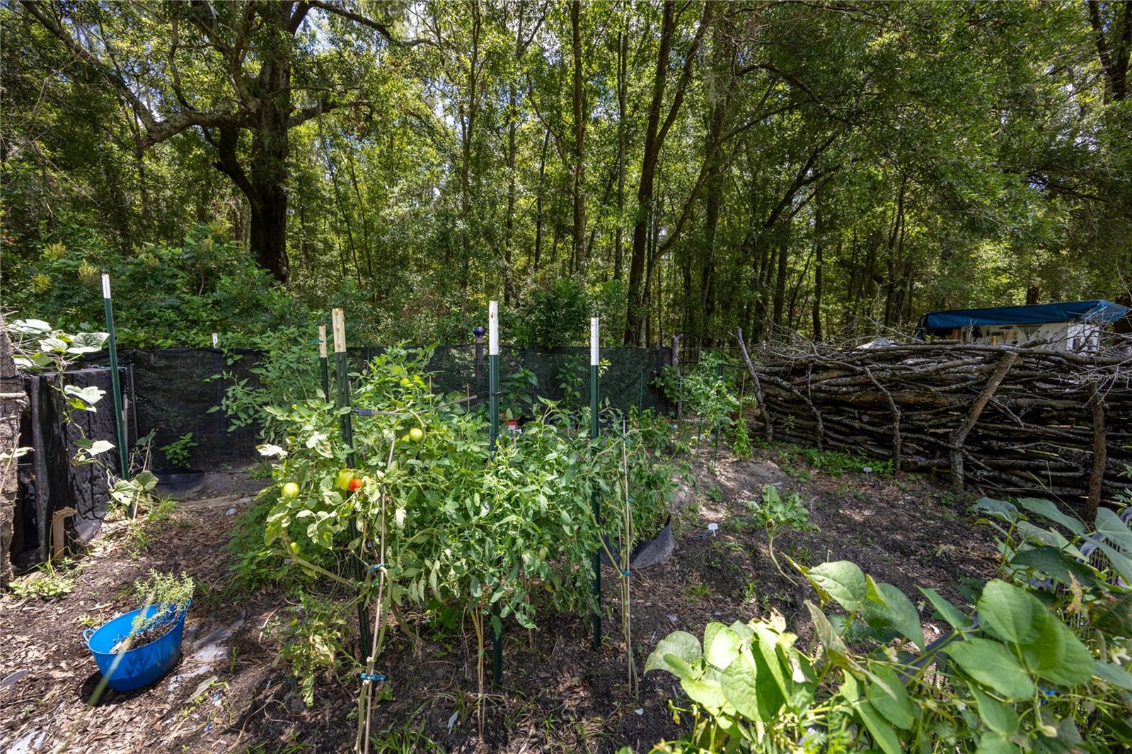 261 SW BEYOND CT, LAKE CITY, FL, 32024