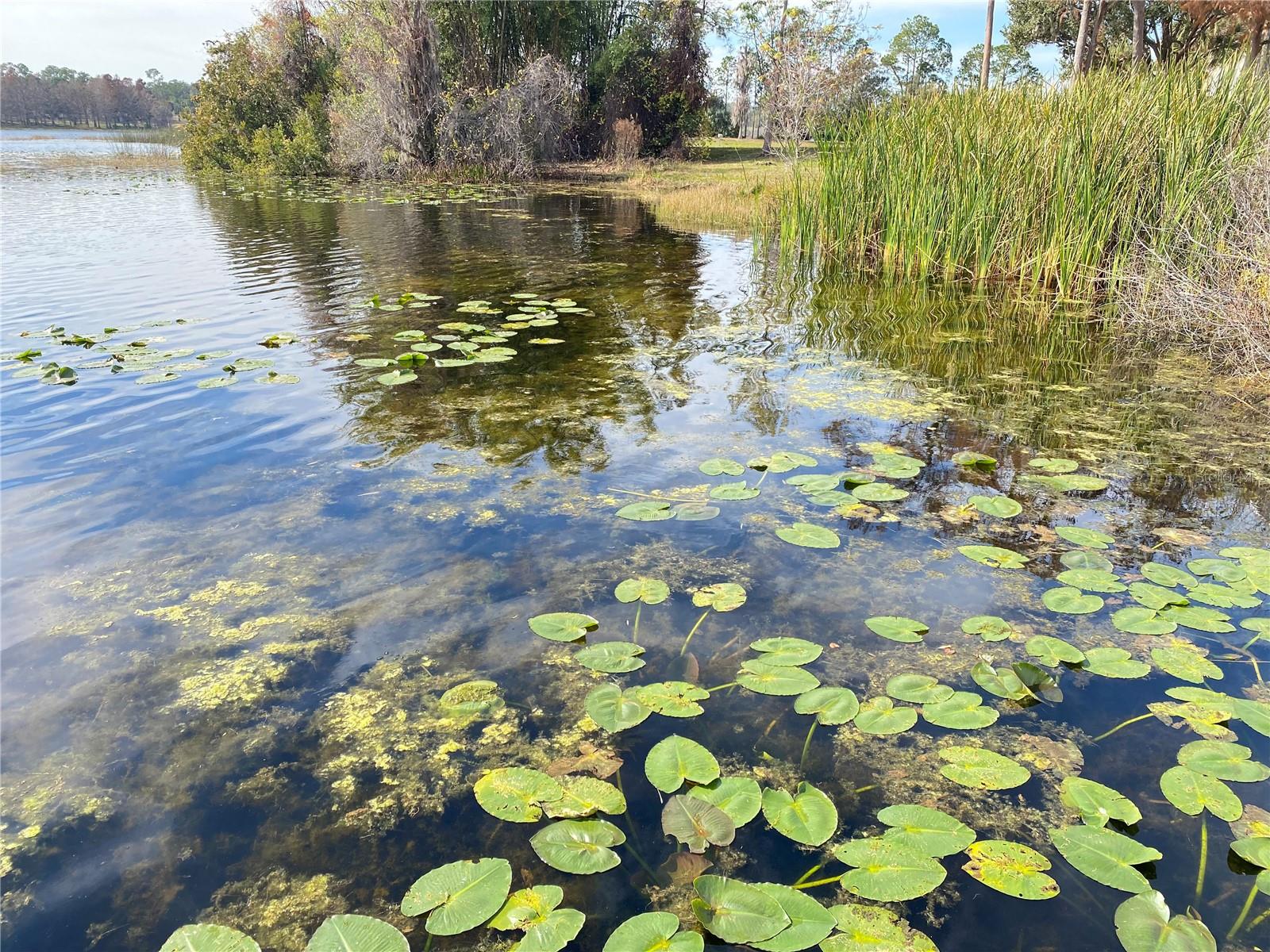 3432 WESTCHESTER SQUARE BLVD #205, ORLANDO, FL, 32835