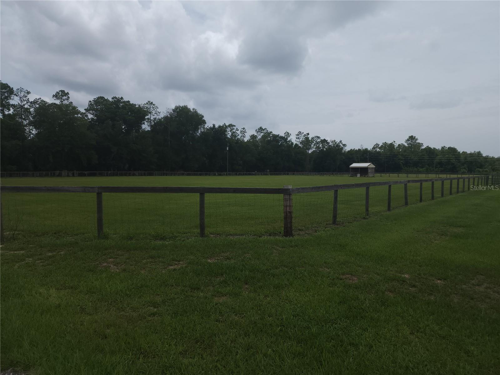 REDWING RD, GROVELAND, FL, 34736