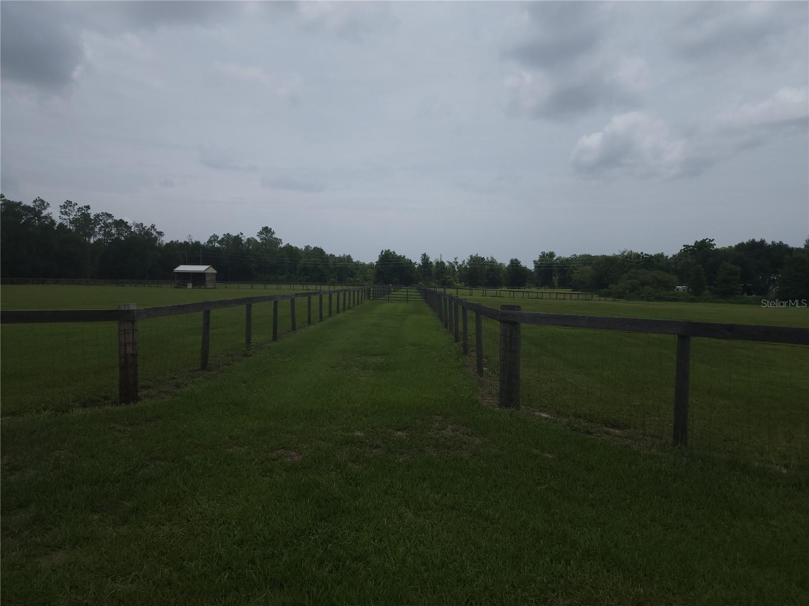 REDWING RD, GROVELAND, FL, 34736
