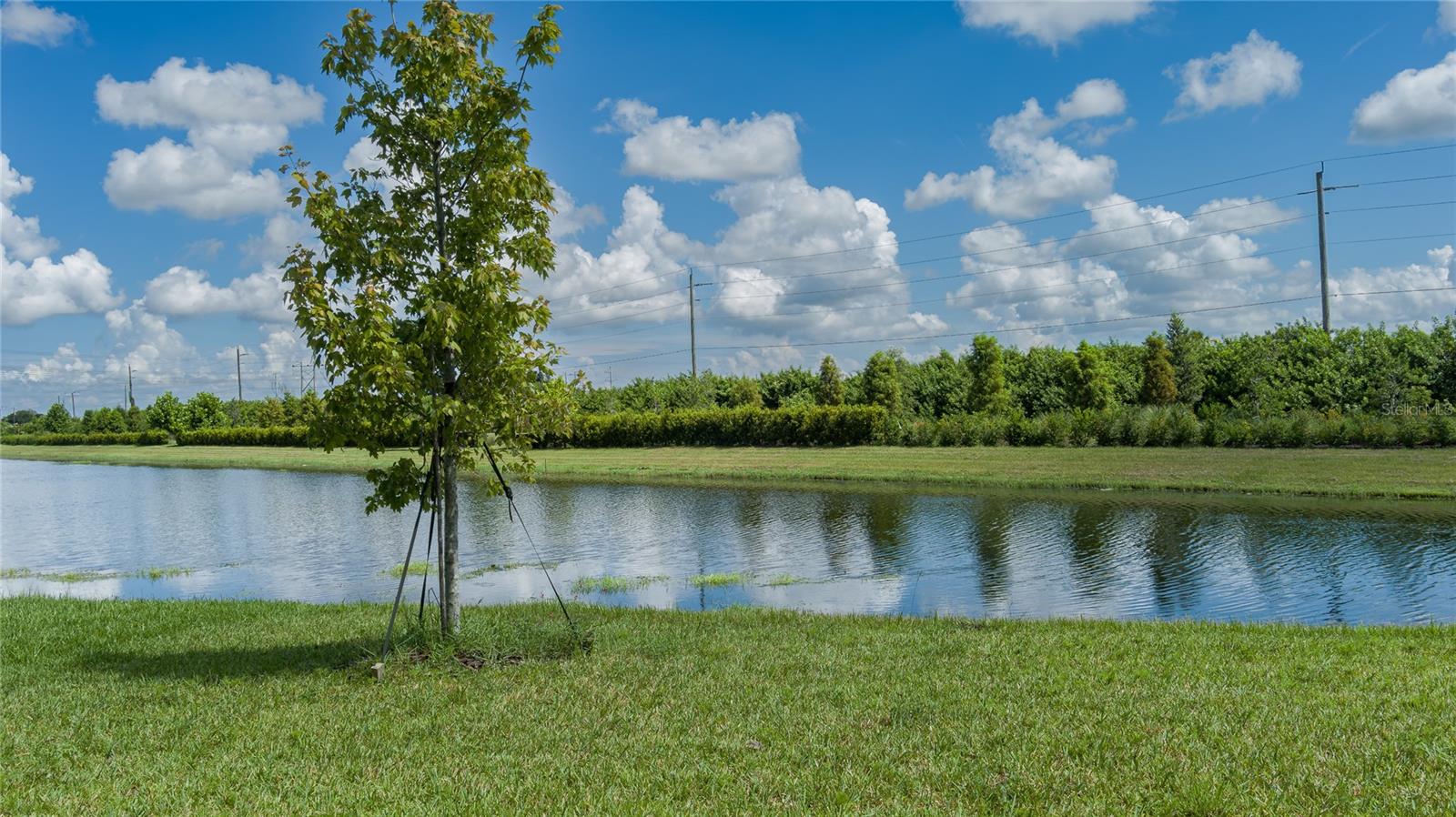 10423 LADYBUG CV, PARRISH, FL, 34219
