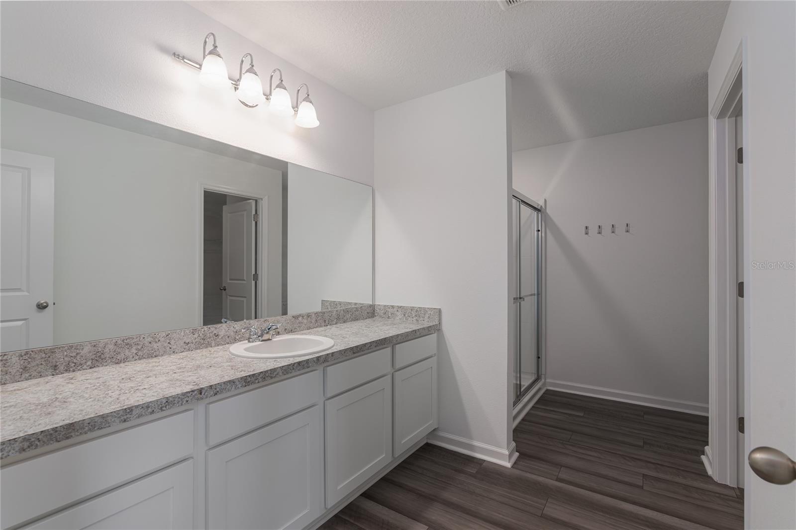 10423 LADYBUG CV, PARRISH, FL, 34219