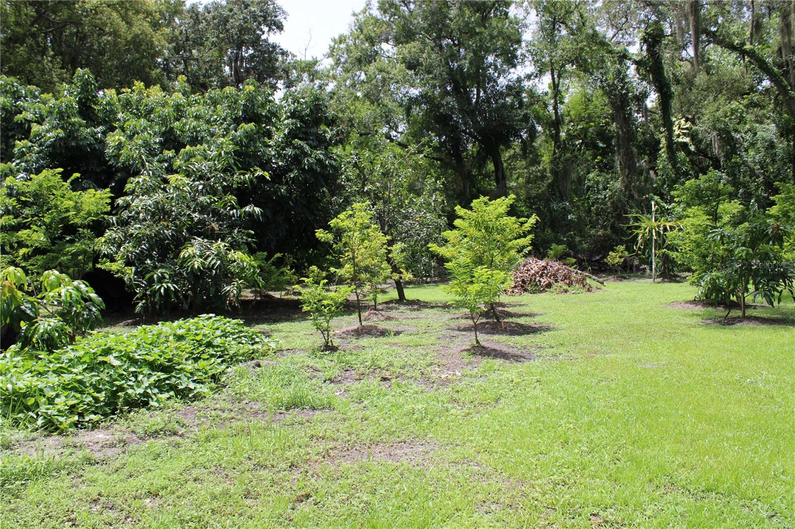 4521 16TH AVE S, TAMPA, FL, 33619