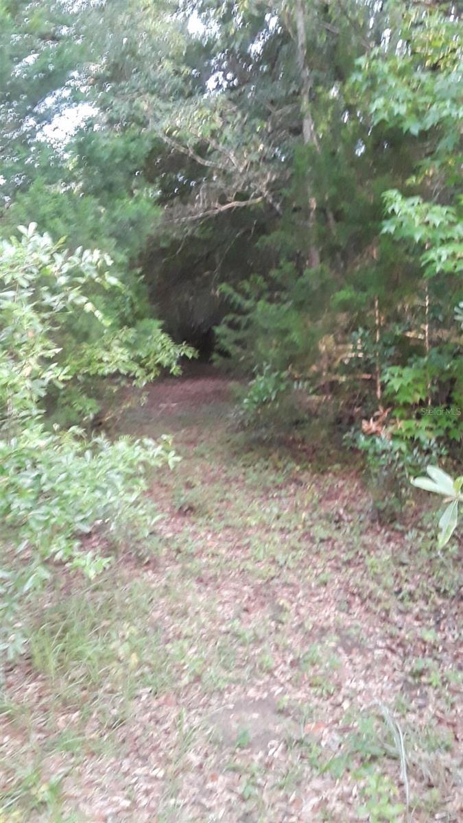 751 NE 140TH AVE, WILLISTON, FL, 32696