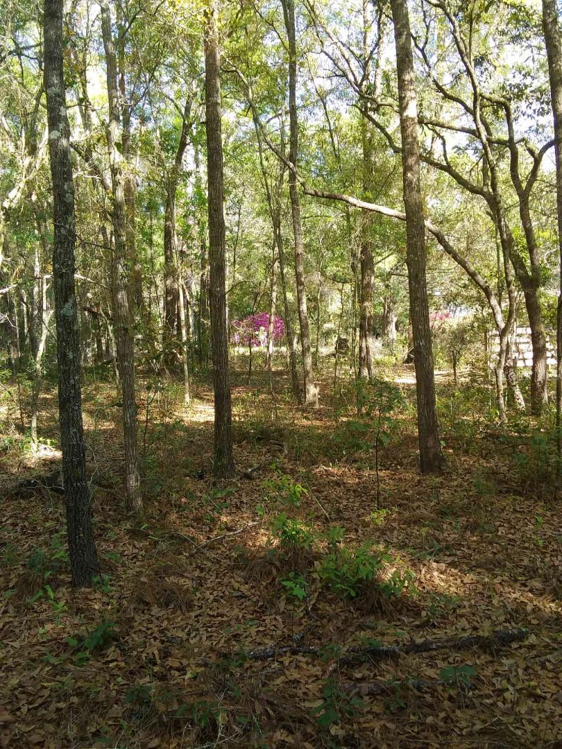 751 NE 140TH AVE, WILLISTON, FL, 32696