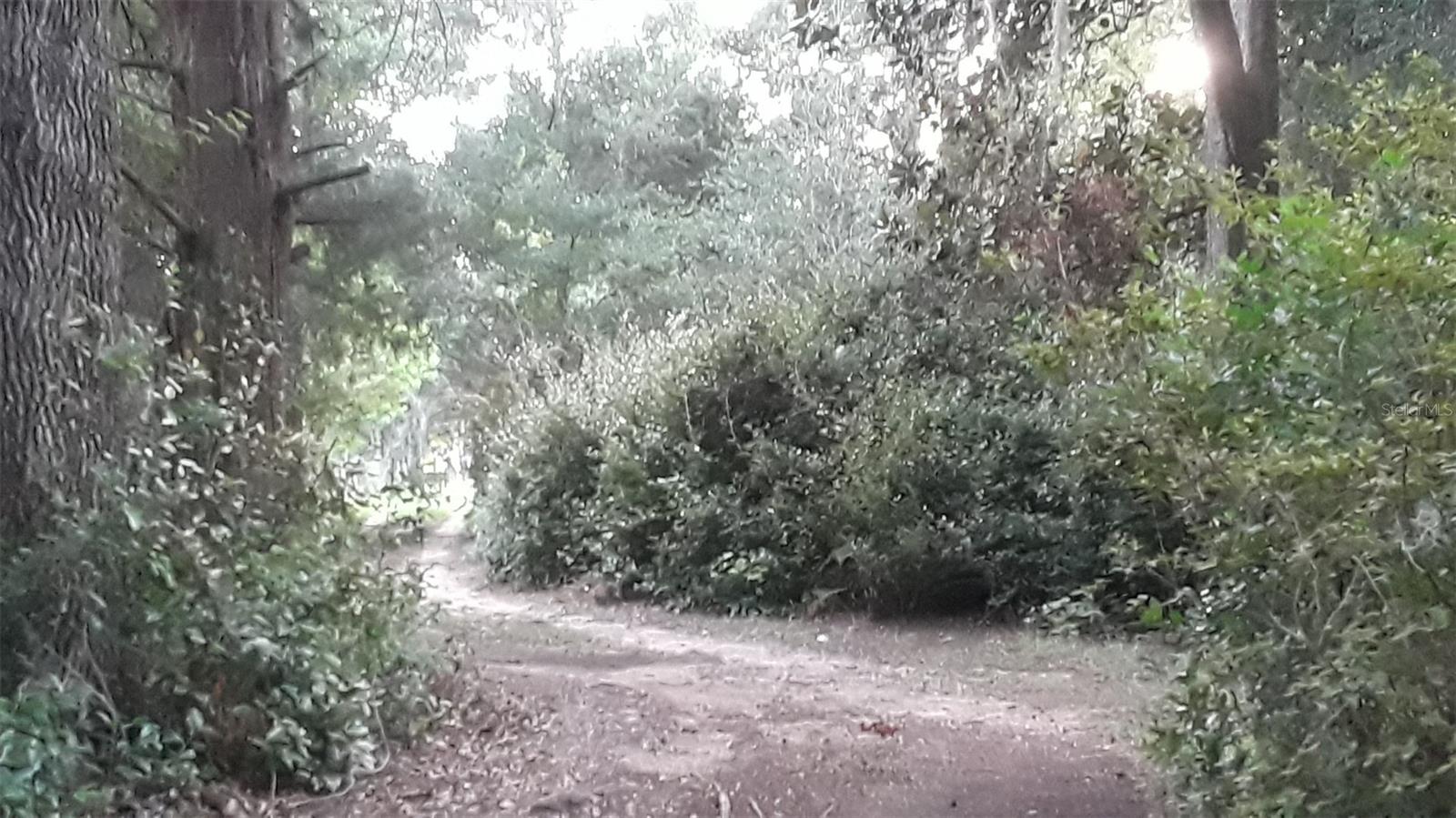 751 NE 140TH AVE, WILLISTON, FL, 32696