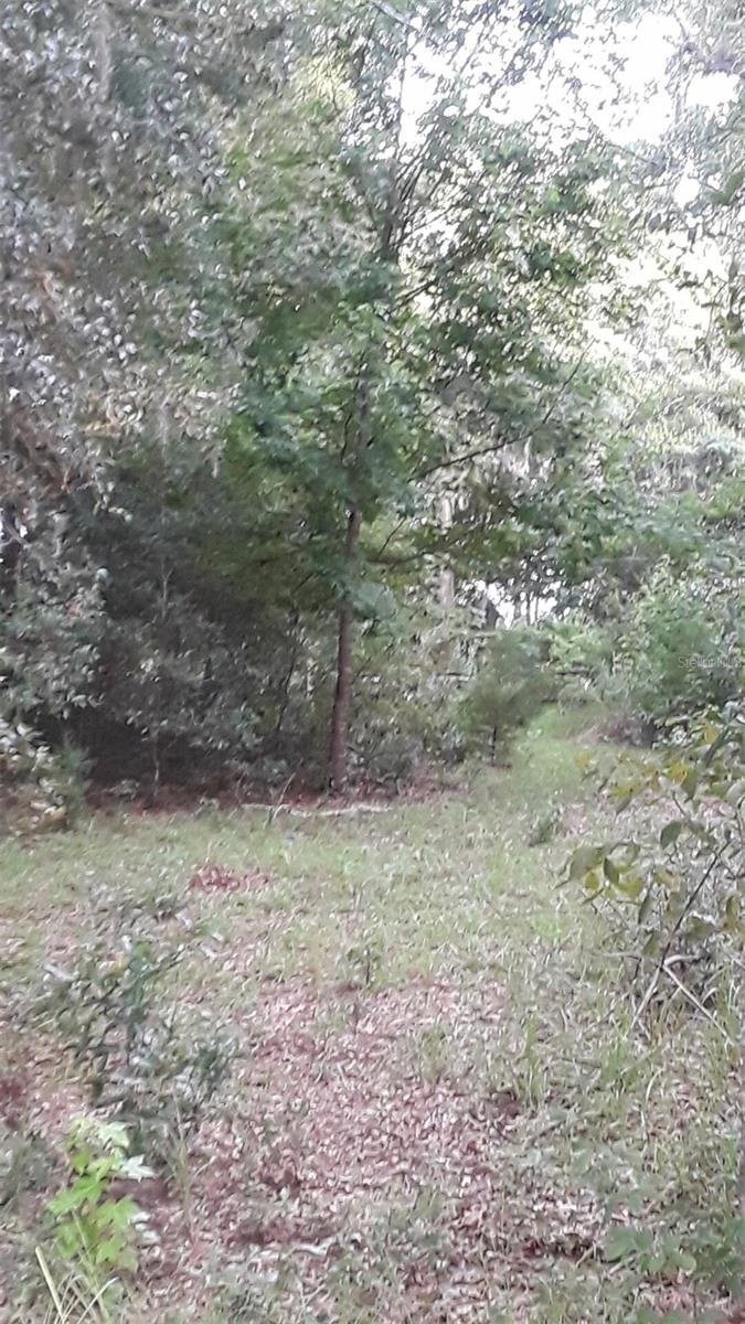 751 NE 140TH AVE, WILLISTON, FL, 32696