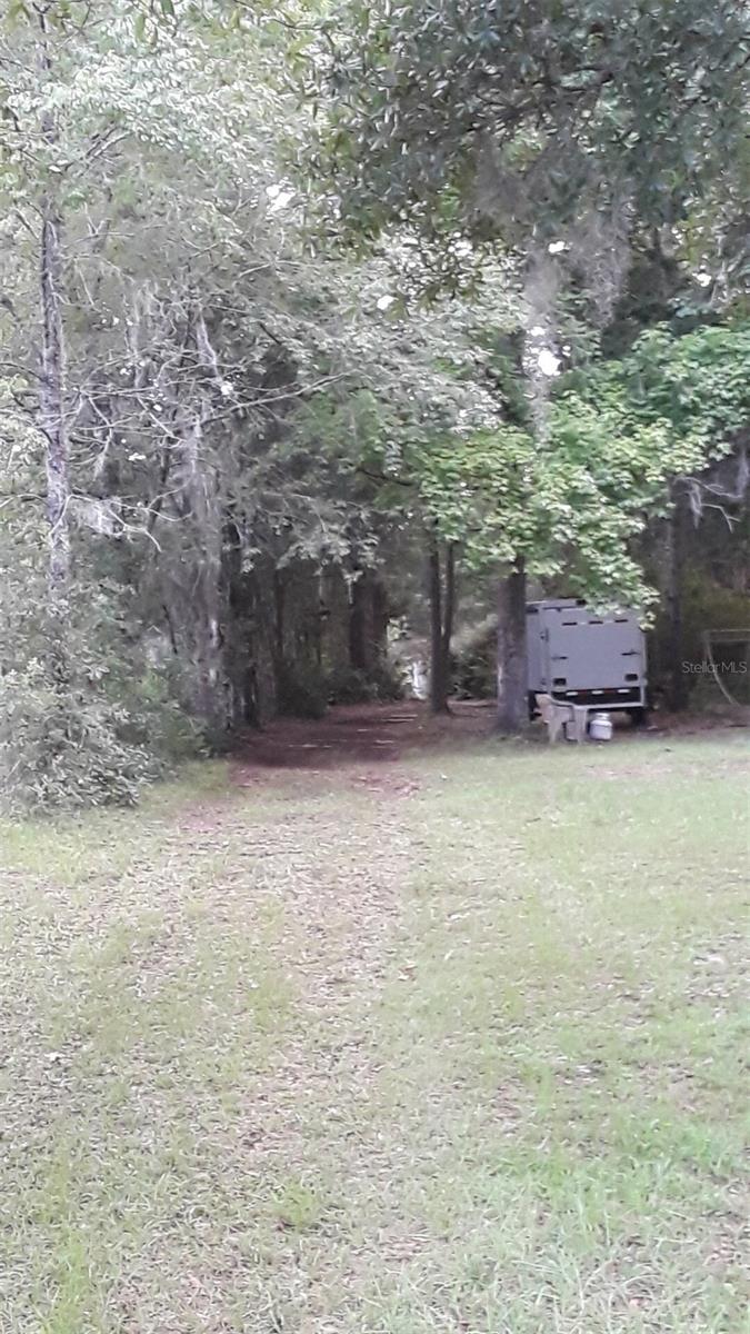 751 NE 140TH AVE, WILLISTON, FL, 32696