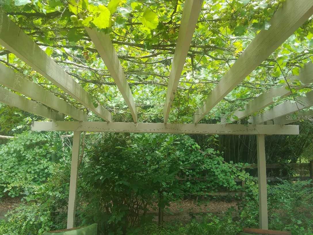 751 NE 140TH AVE, WILLISTON, FL, 32696