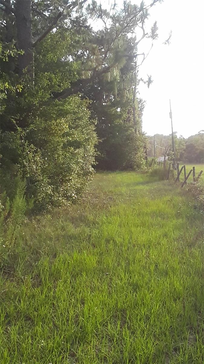 751 NE 140TH AVE, WILLISTON, FL, 32696