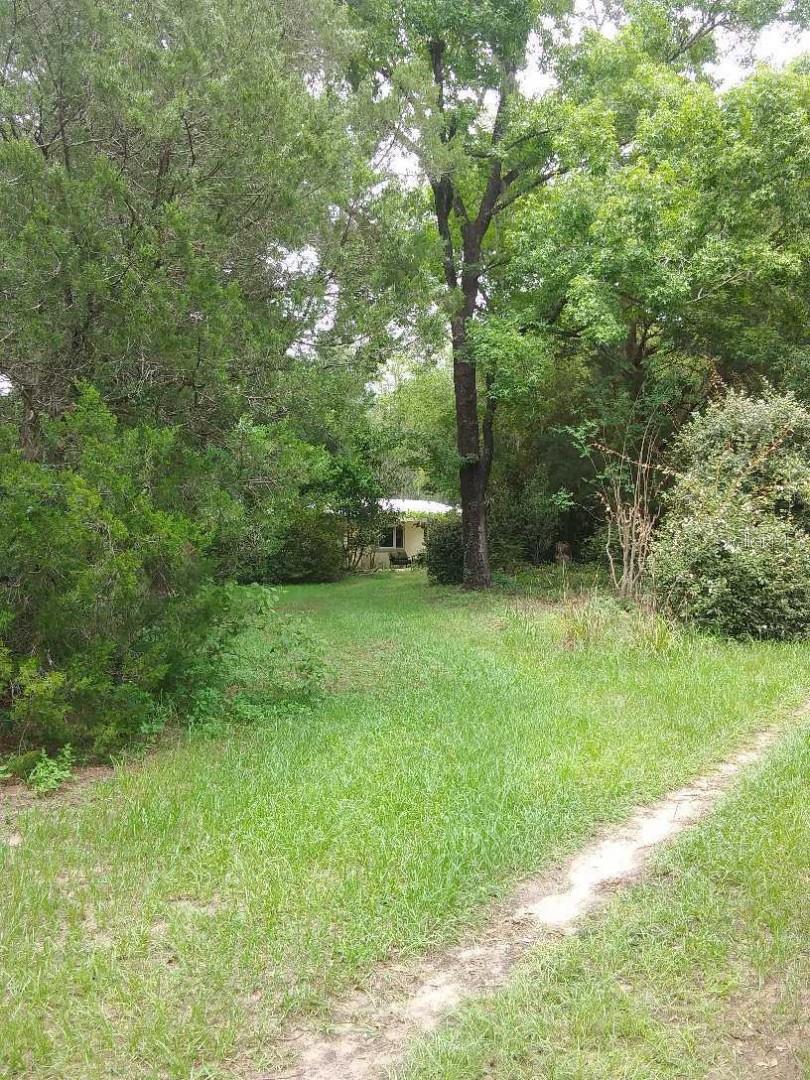 751 NE 140TH AVE, WILLISTON, FL, 32696