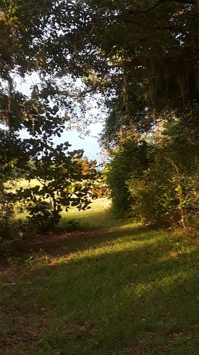 751 NE 140TH AVE, WILLISTON, FL, 32696