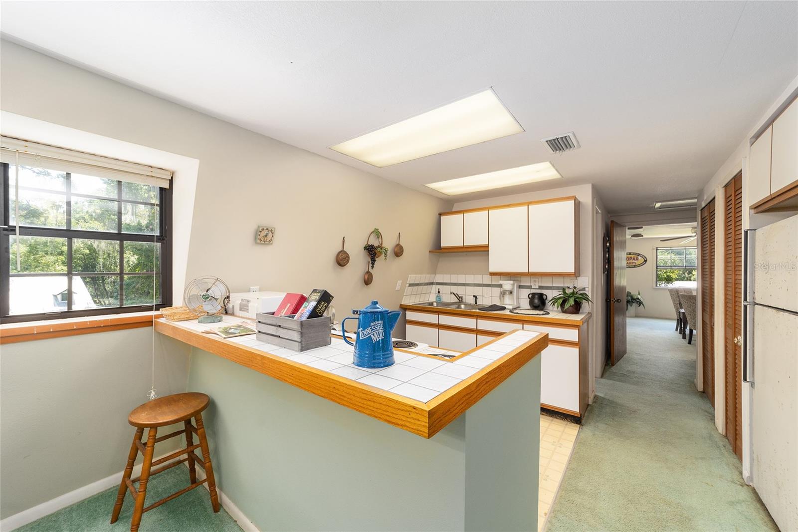 19690 MUSTANG DR, DUNNELLON, FL, 34432