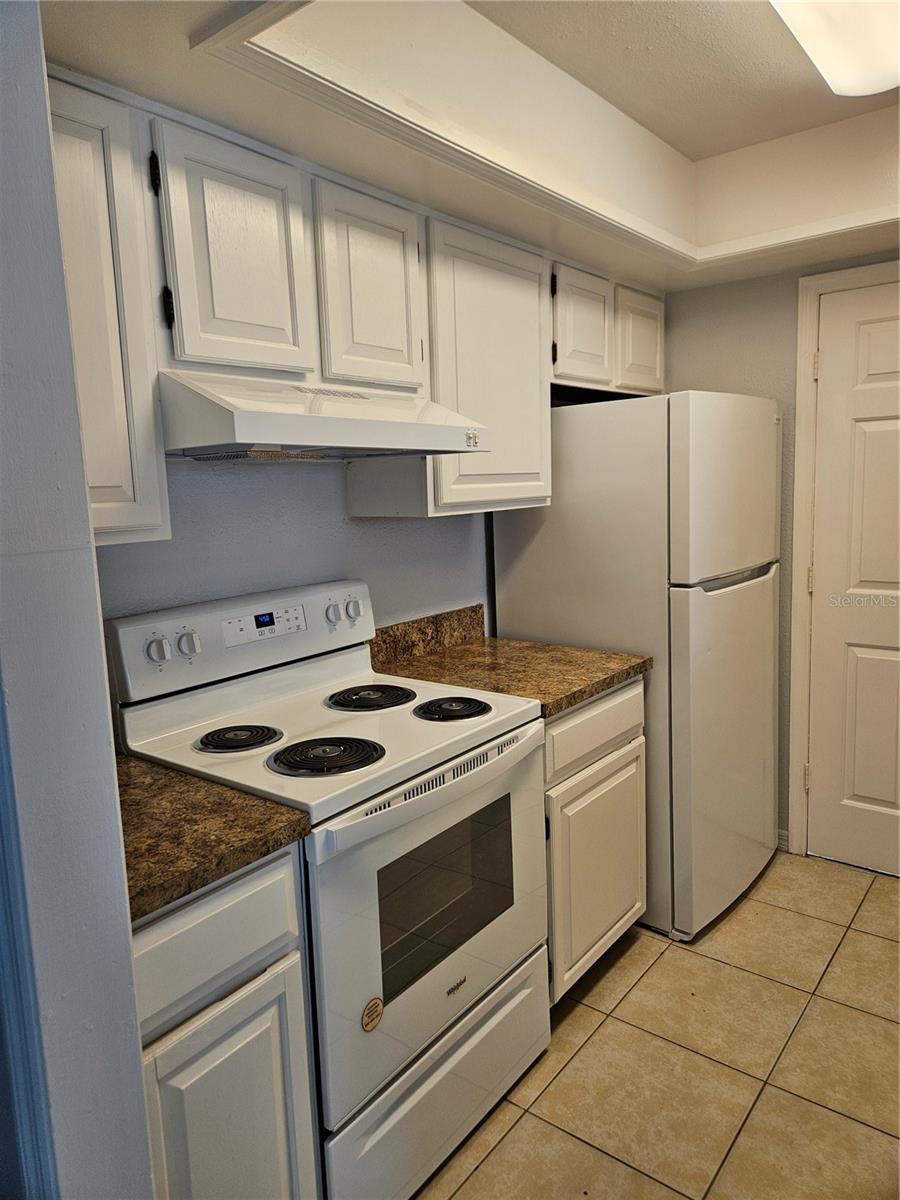 733 E ALFRED ST, TAVARES, FL, 32778